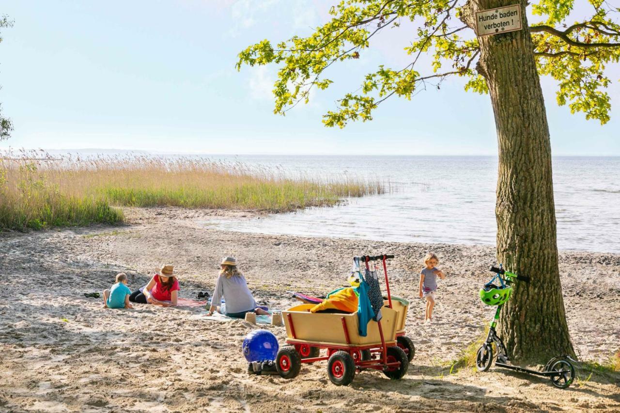 Mueritzparadies - Feriendorf Alte Fahrt Rechlin Exterior foto