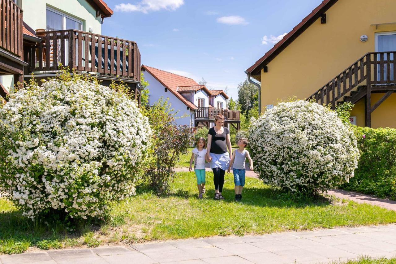 Mueritzparadies - Feriendorf Alte Fahrt Rechlin Exterior foto